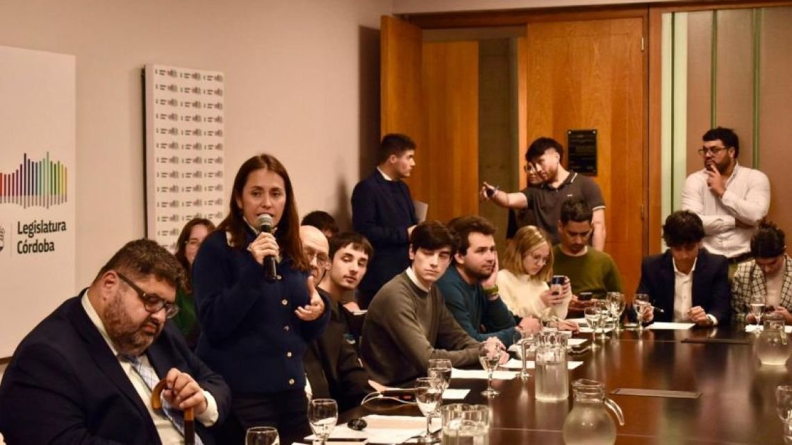 IA y deepfakes: diputada presentó al público un proyecto para el etiquetado de contenidos generados con inteligencia artificial