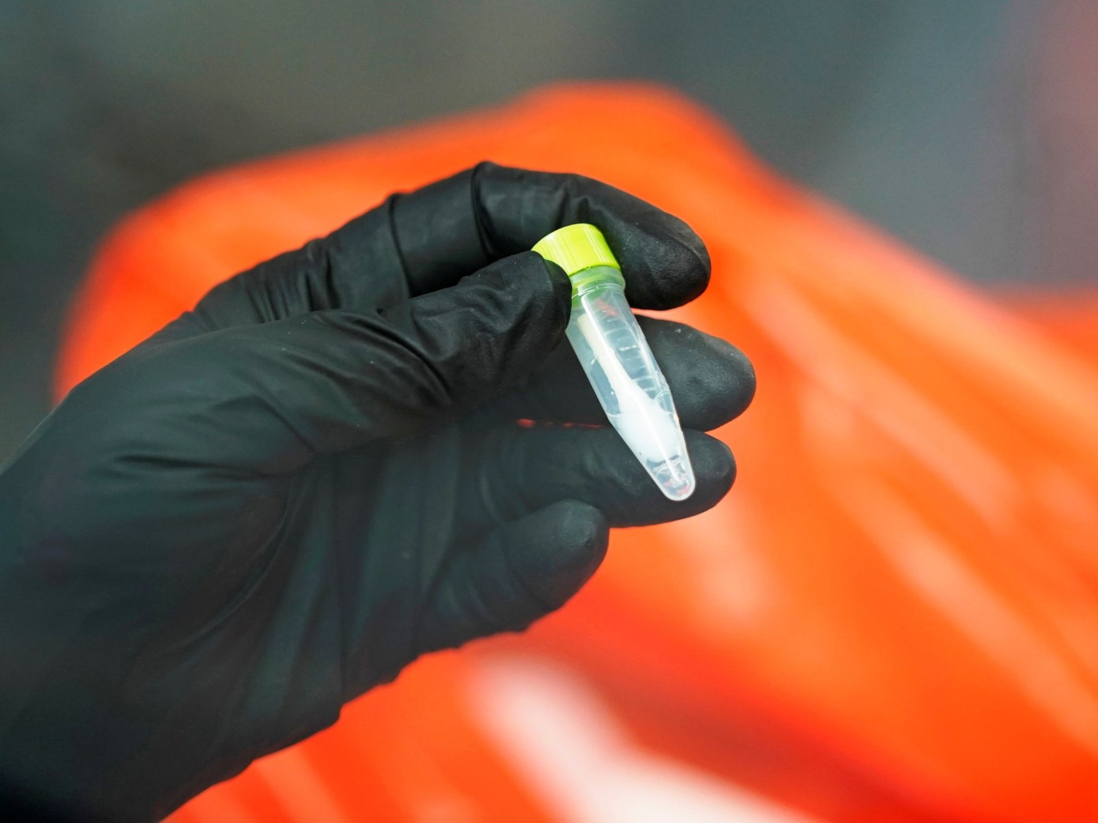 Investigaciones preliminares sugieren una vía para predecir y prevenir el cáncer de pulmón