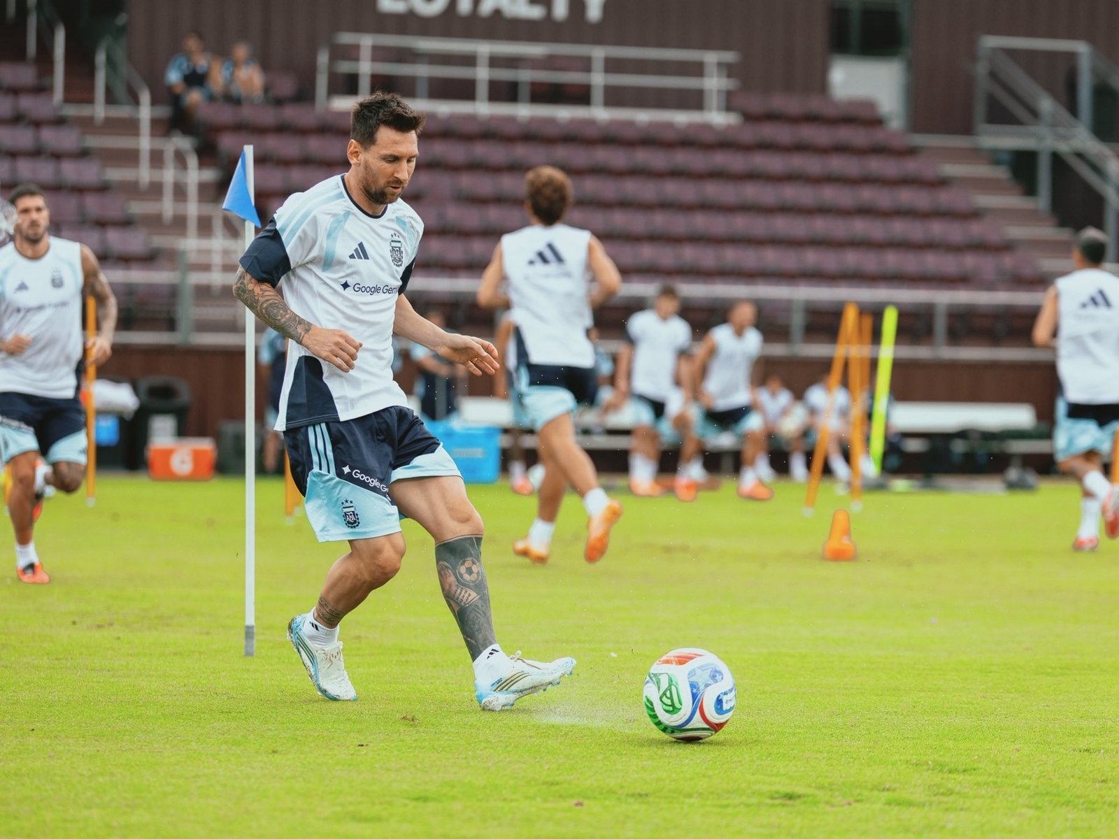 Las grandes noticias que recibió Scaloni en el entrenamiento de la Selección :: Olé