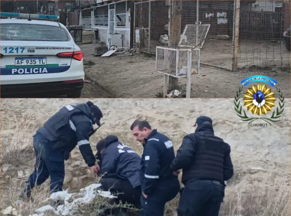 Lo descubrieron en una vivienda y desató una persecución por los techos