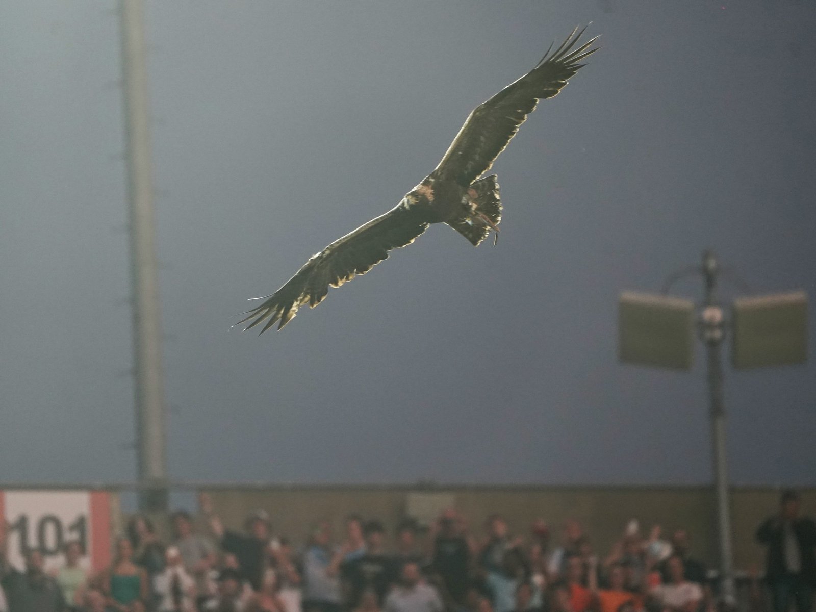 Qué es el ritual del águila que se hizo antes del amistoso entre Argentina e Islandia en Alabama