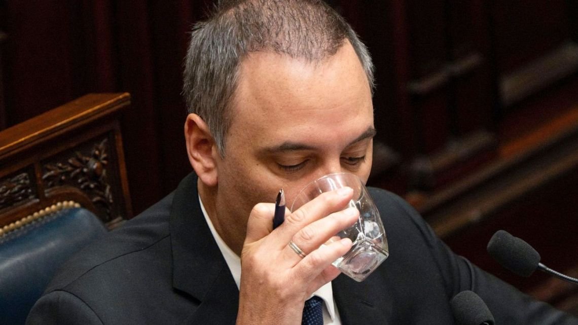 Senador radical sobre Adorni: "El daño que está sufriendo el Gobierno es inconmensurable"