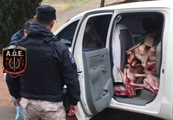 Trevelin: decomisaron 11 ovinos faenados que eran transportados sin documentación