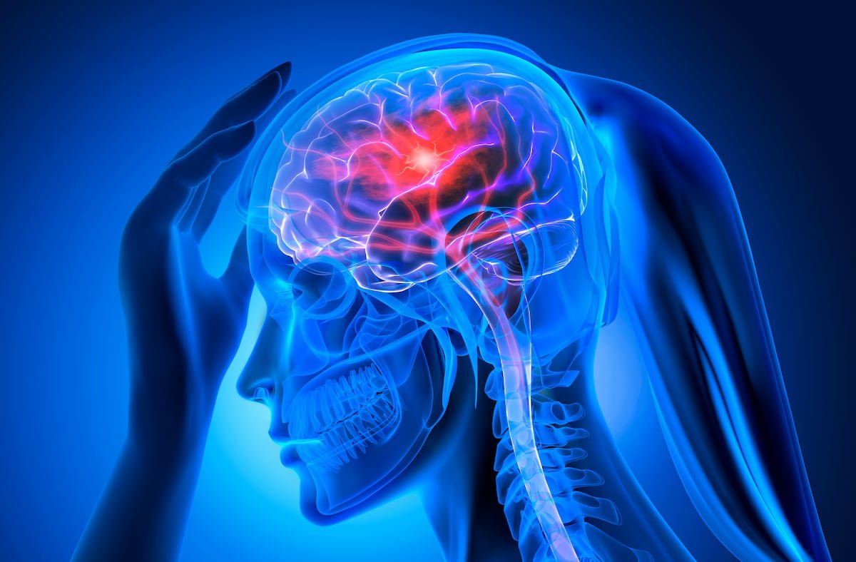 Women who experience premature menopause are at greater risk of stroke and heart failure | Health