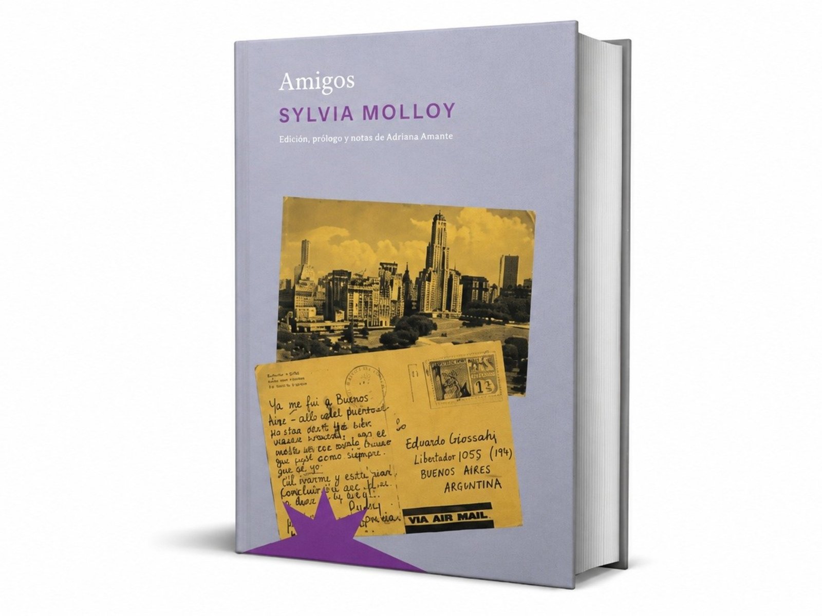 el mapa afectivo de Sylvia Molloy en 'Amigos'