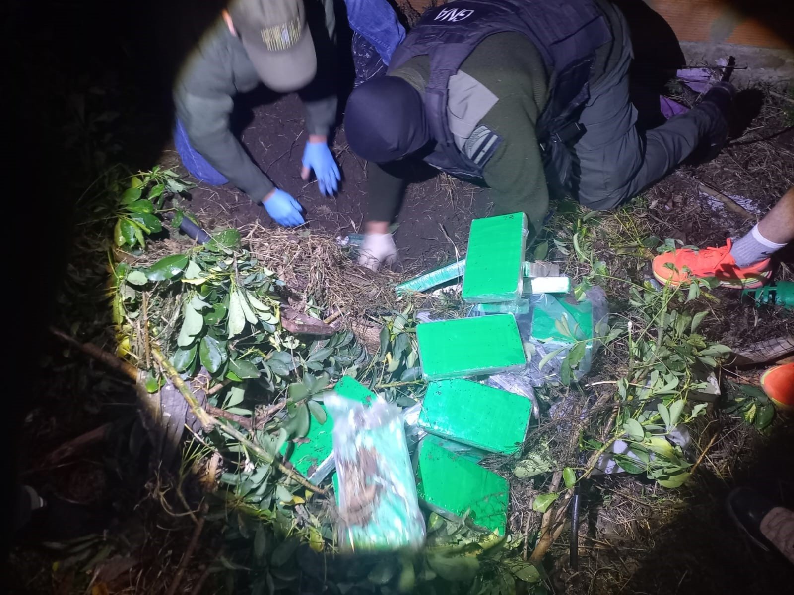 la perra labradora que encontró la pista de 58 kilos de cocaína enterrados en un jardín