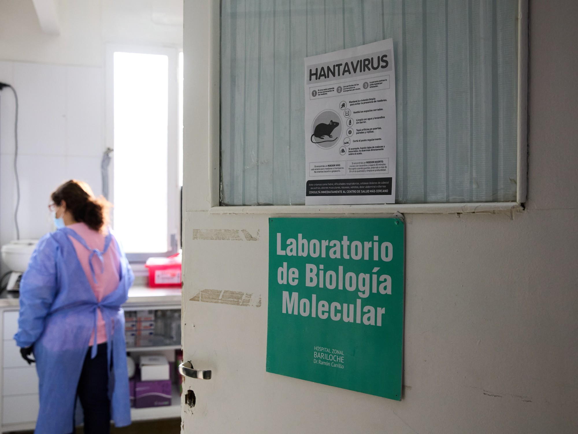 una mujer murió tras contraer hantavirus y piden reforzar las medidas de prevención