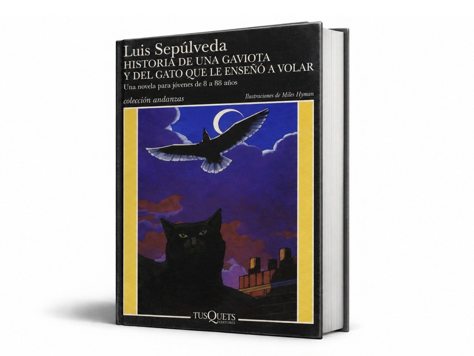 Un libro para leer con los chicos: hoy recomienda Elsa Osorio