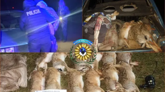 Detienen a tres cazadores furtivos en un establecimiento rural de El Maitén