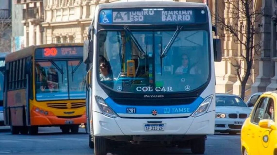 Feriado del 9 de Julio y viernes no laborable en Córdoba: cómo funcionarán el transporte, la recolección y los servicios municipales