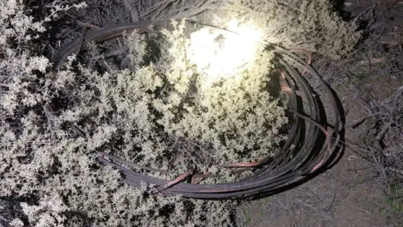 Frustran robo de cables de cobre en zona norte