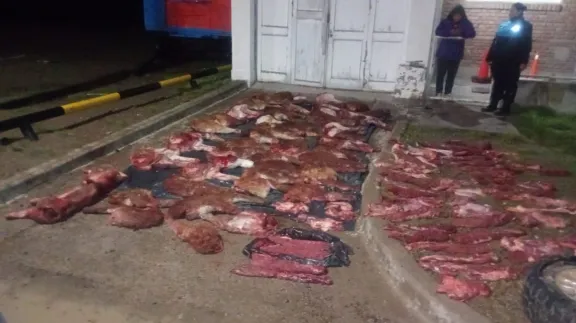 Pincharon una cubierta y descubrieron que habían cazado guanacos y un puma