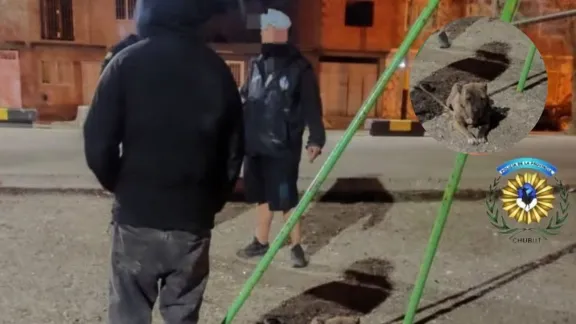 Quiso robar con un pitbull como cómplice, pero lo atrapó la Policía