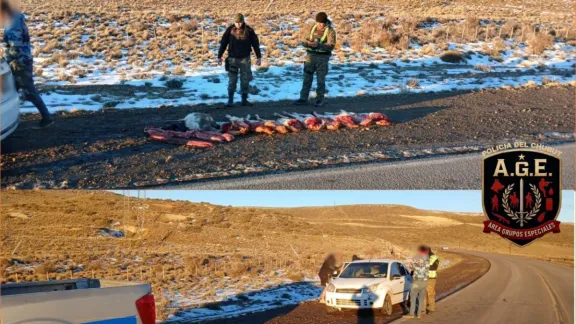 Secuestran piezas de guanaco y ñandú en un control sobre la Ruta 26