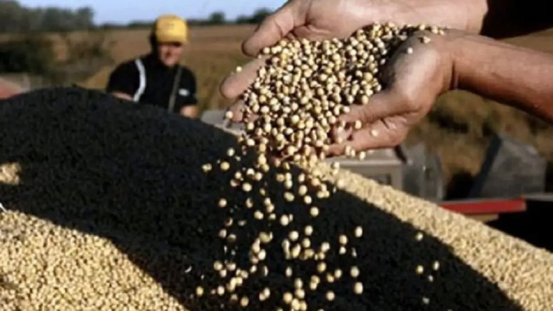 “Todavía el uso de tecnología en fertilización es bajo" en función de cerrar la brecha de rendimiento en soja