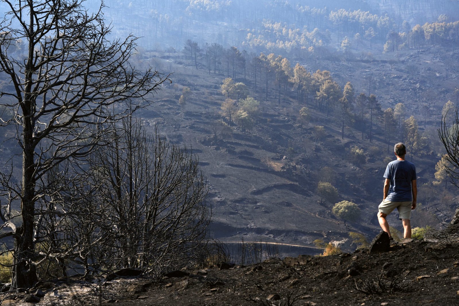 Última hora de los incendios forestales, en directo | Los incendios dan una tregua horas antes de la ola de calor: los vecinos de 13 municipios vuelven a sus casas