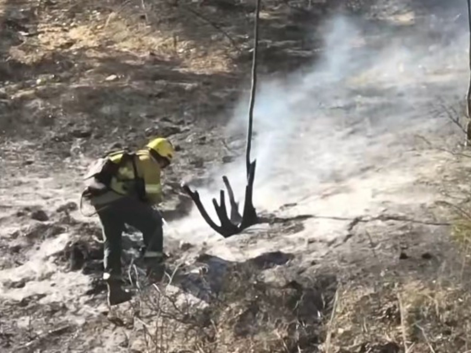 Un hombre intentó salvar a su ganado y murió en medio de los incendios en Salta
