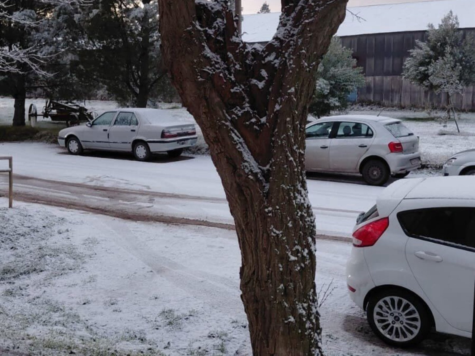 las impactantes imágenes de la nevada en distintas ciudades y las alertas por frío extremo