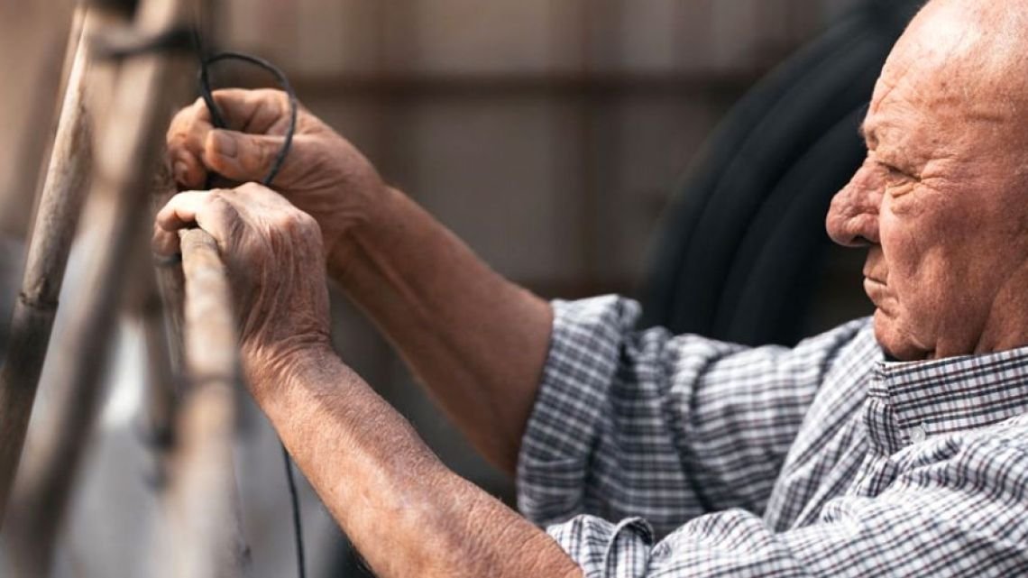 ANSES: Cuánto cobran los beneficiarios de la PUAM con el aumento de agosto y cómo tramitarla