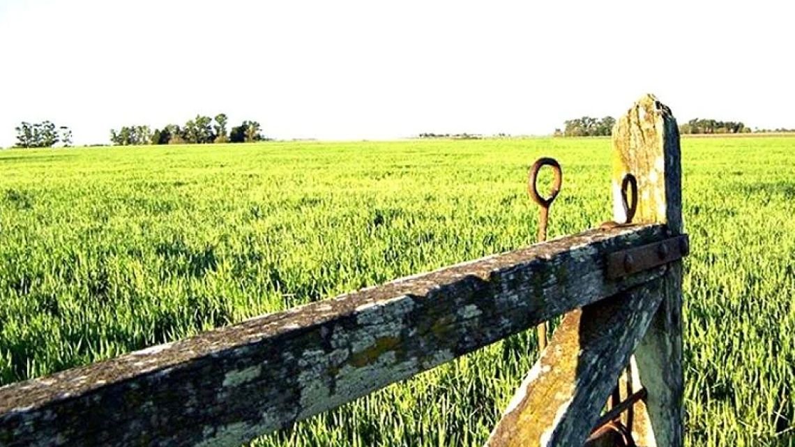 Agro: el oficio del pasado, la profesión del futuro