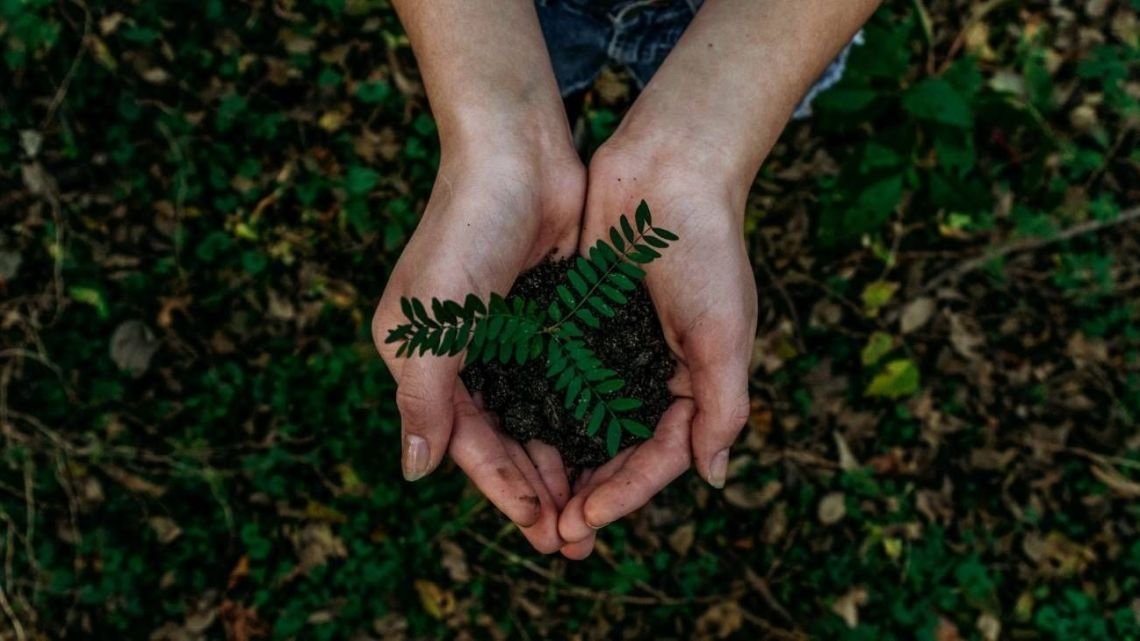 Cómo España y Francia enfrentan los incendios forestales con políticas ambientales diferentes