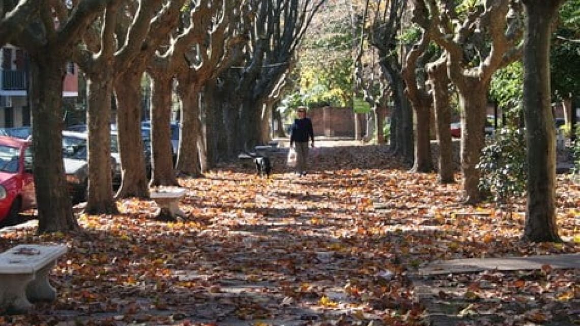 Cómo estará clima en CABA este sábado 1 de agosto: terminan las lluvias y baja la temperatura