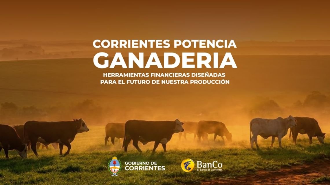 El Banco de Corrientes lanzó créditos para el campo: hasta 48 meses de plazo y subsidio de tasa