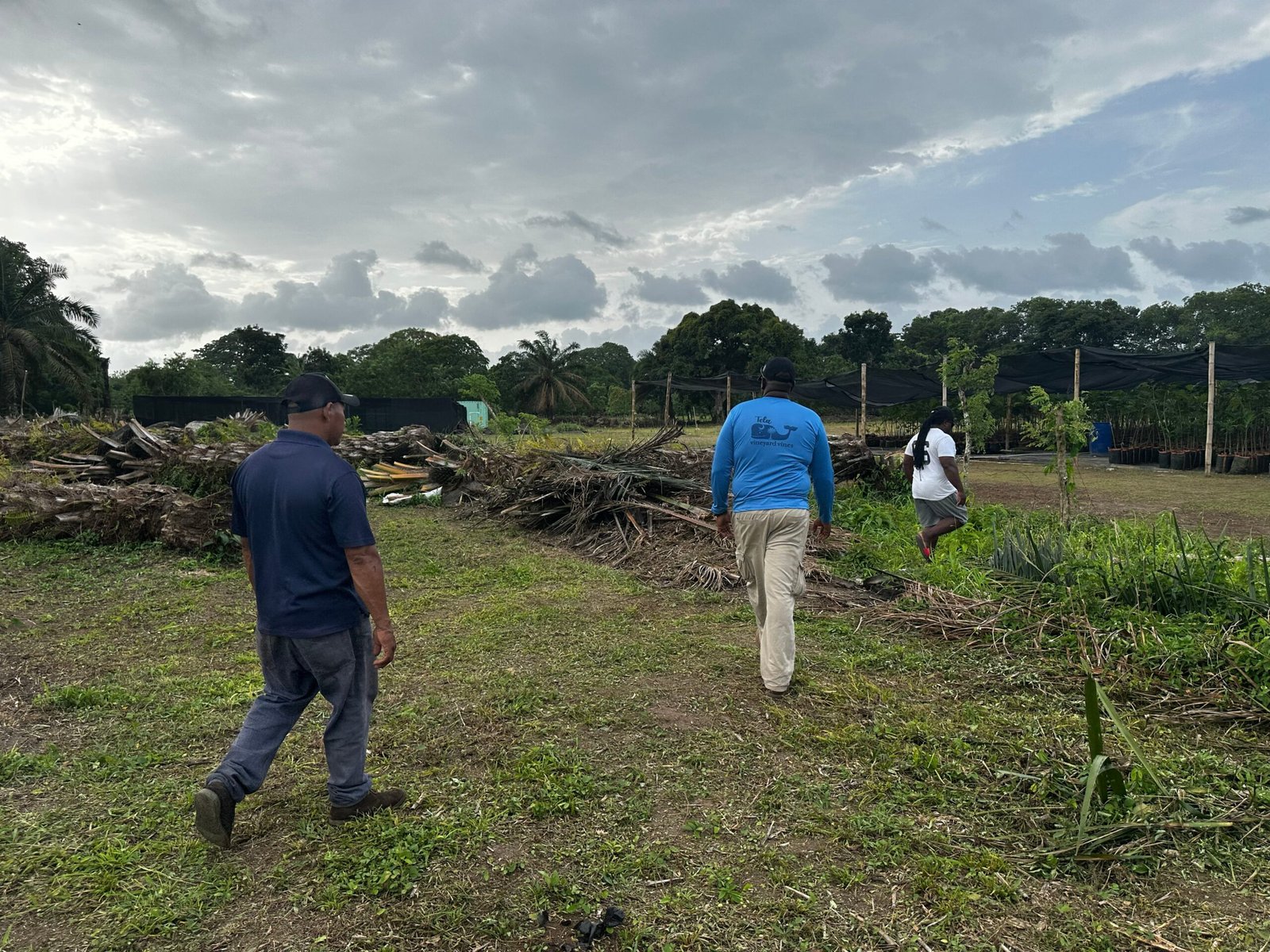 Líderes garífunas de la comunidad Tornabé, en el municipio de Tela, recorren uno de los territorios recuperados recientemente.