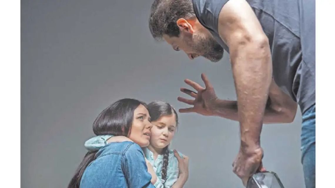 Por qué el proyecto de falsas denuncias por violencia de género de Losada "desincentiva a buscar ayuda en la justicia”