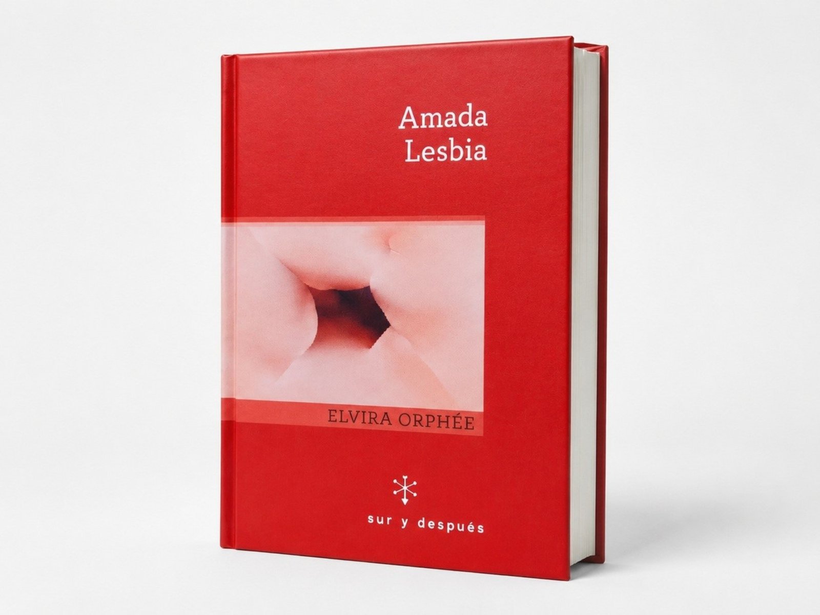 Publican dos novelas inéditas de Elvira Orphée y reavivan el interés por una gran escritora