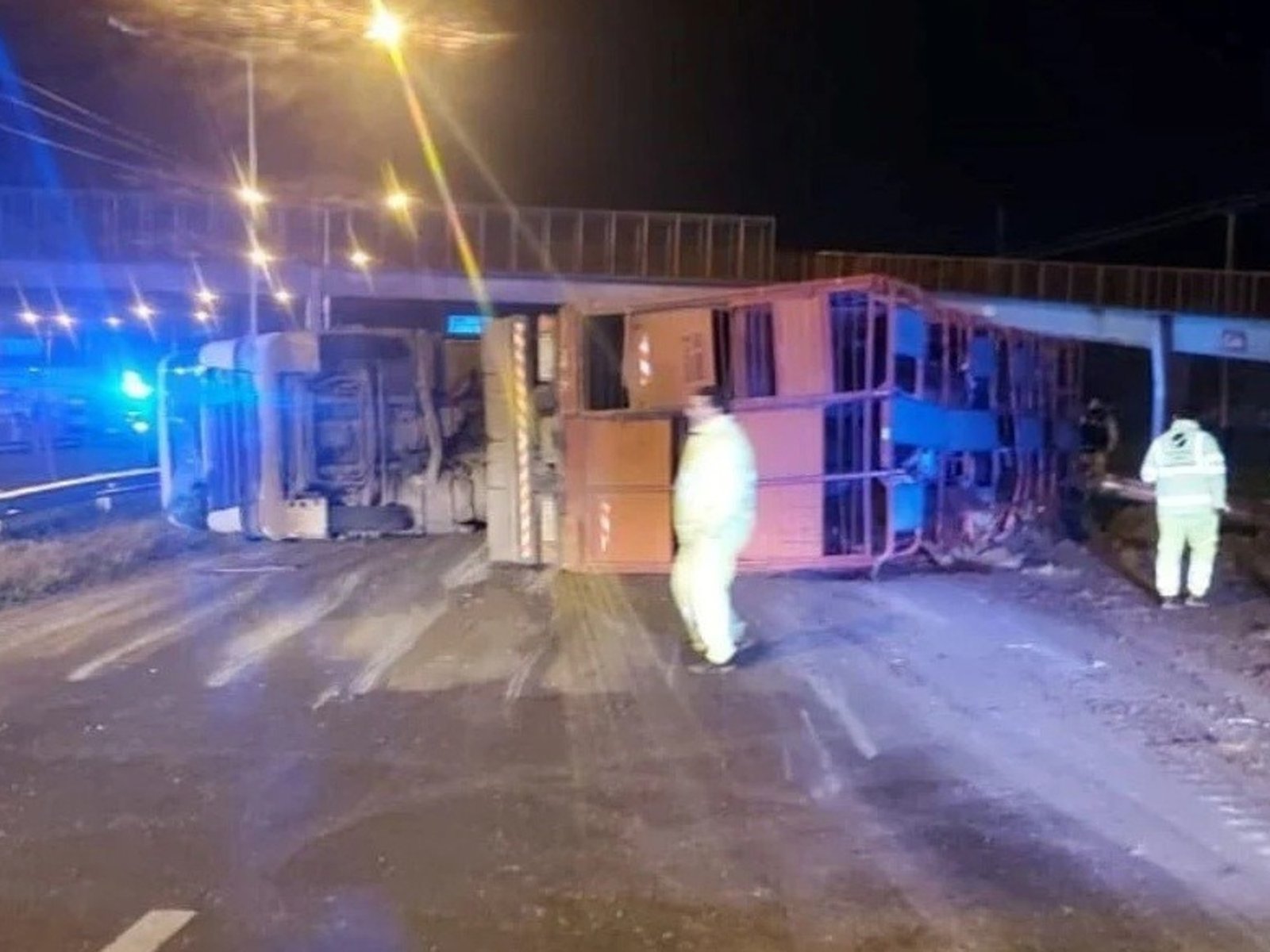 algunas vacas pudieron escapar, pero hubo cinco detenidos por faenado