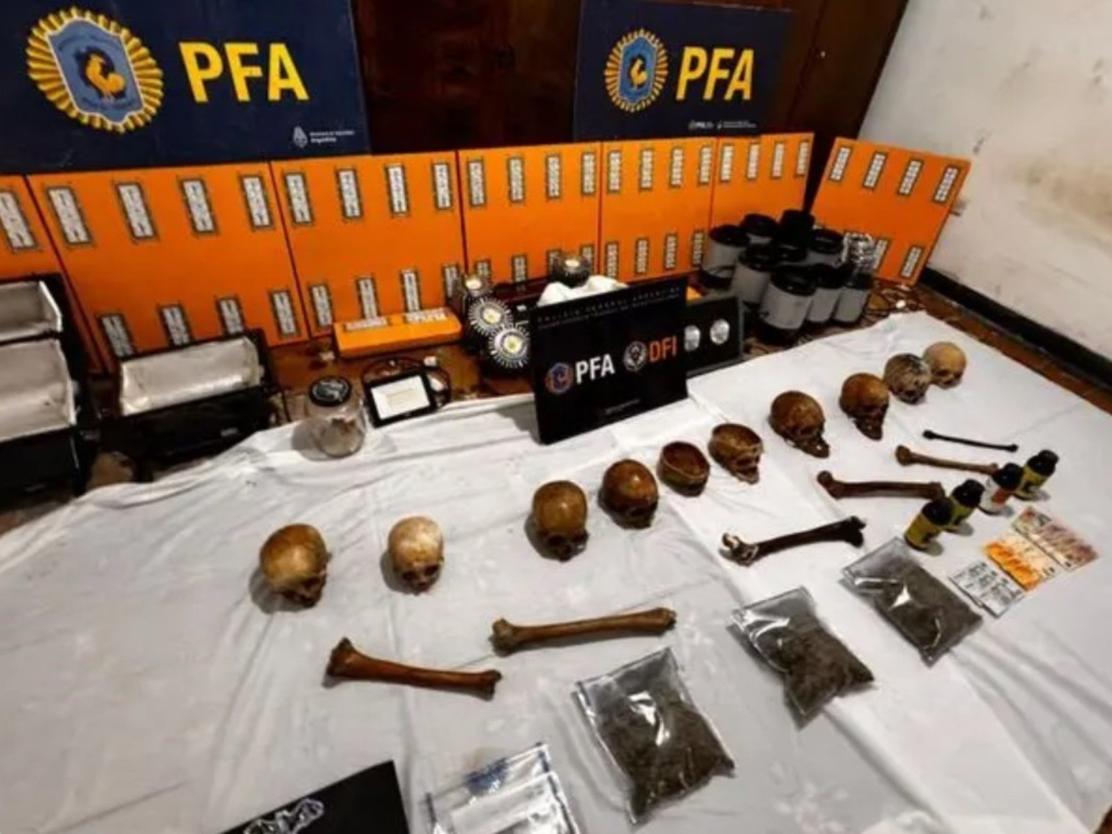 deudas, internas y dos pitbull como botín de un allanamiento