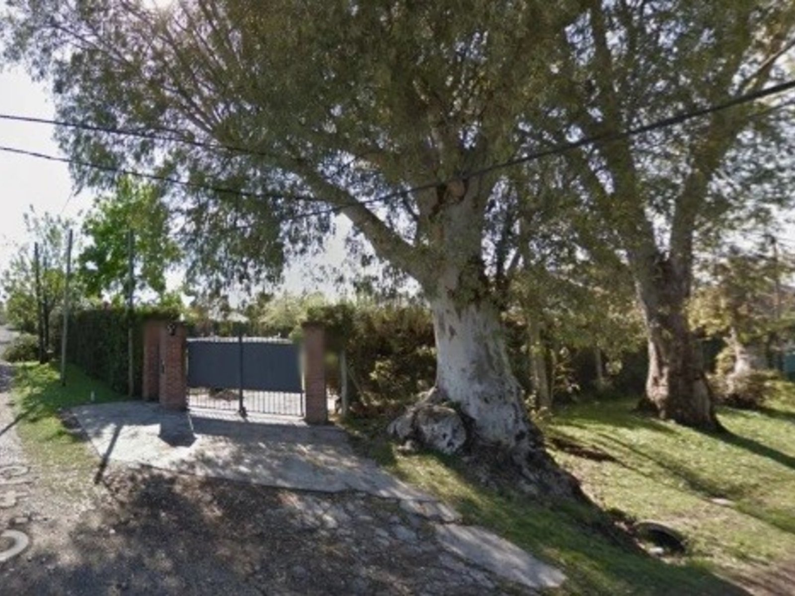 la encontraron con la cabeza dentro de un pozo en el patio de su casa