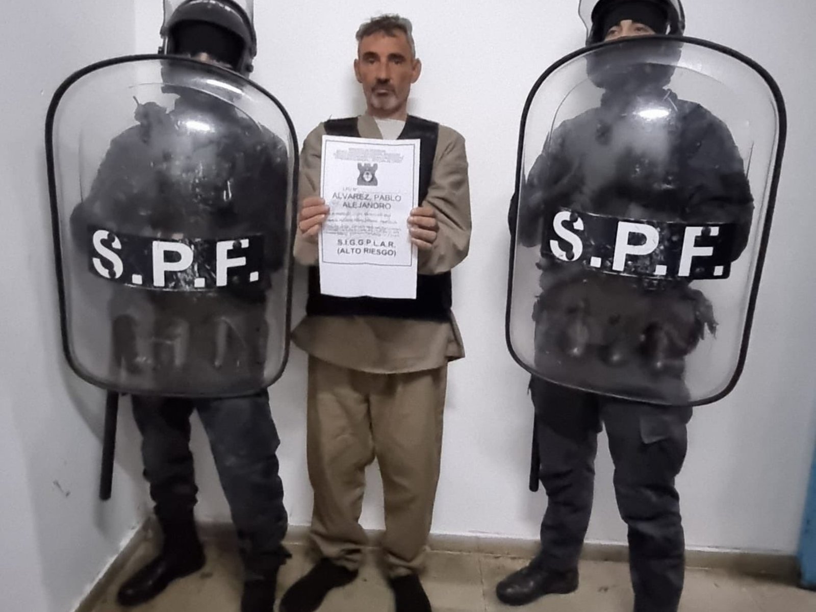 mulas desde Barcelona y aceite de oliva para disimular
