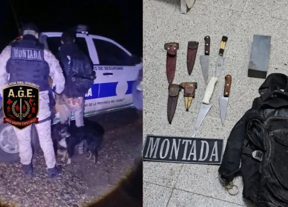Detienen a un hombre por tentativa de abigeato en una chacra de Sarmiento