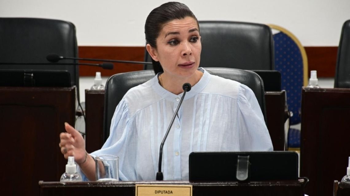 El Frente Chaqueño rompió con la diputada massista que apoyó la suspensión de las PASO