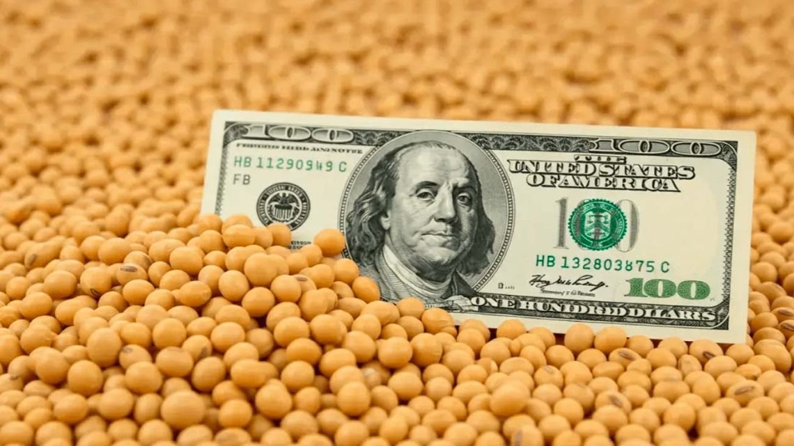 La soja alcanzó su precio más alto en la era Milei: a cuánto se está cotizando