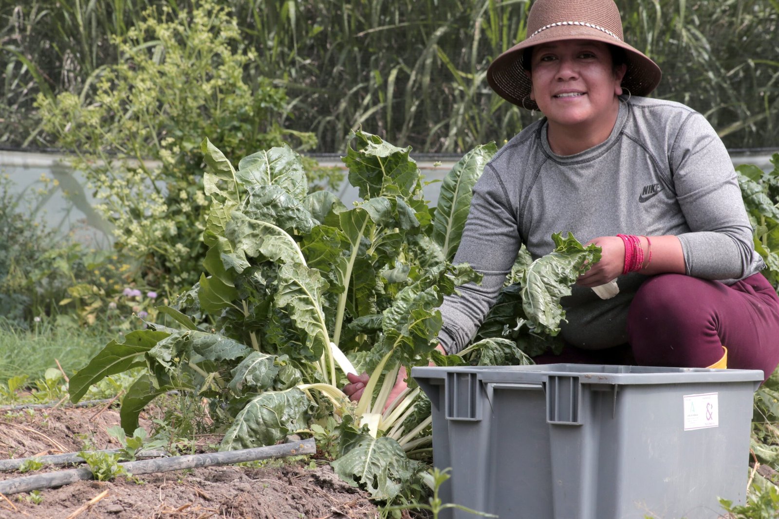 Josselyn Vega es presidenta de la Asociación de Productores Agroecológicos de Cotopaxi, Ecuador.