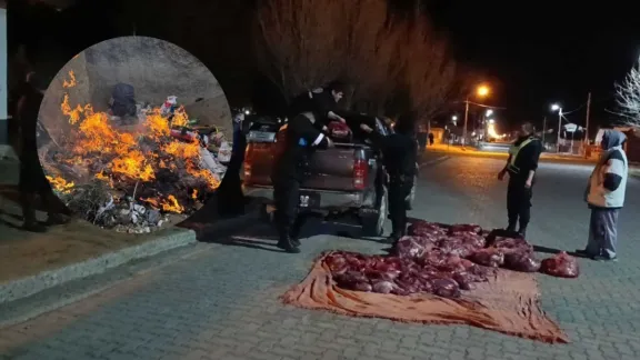 Llevaban 700 kilos de carne de guanaco ocultos entre colchones y frazadas