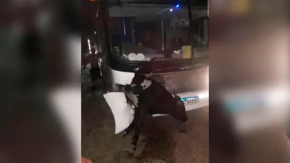 Micro con hinchas de Estudiantes impactó contra una vaca tras la final en Santiago