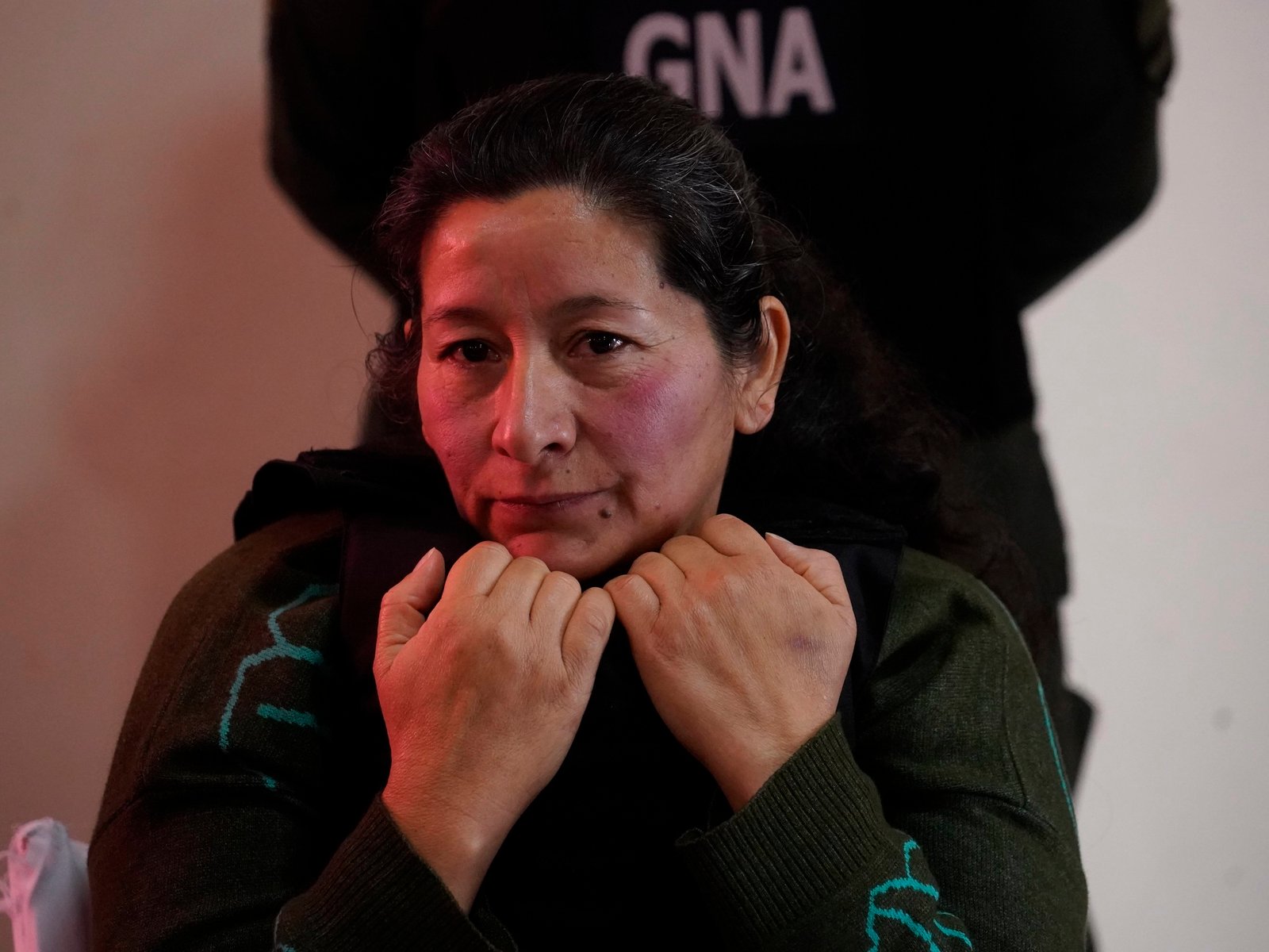 "Pido perdón por las mentiras"
