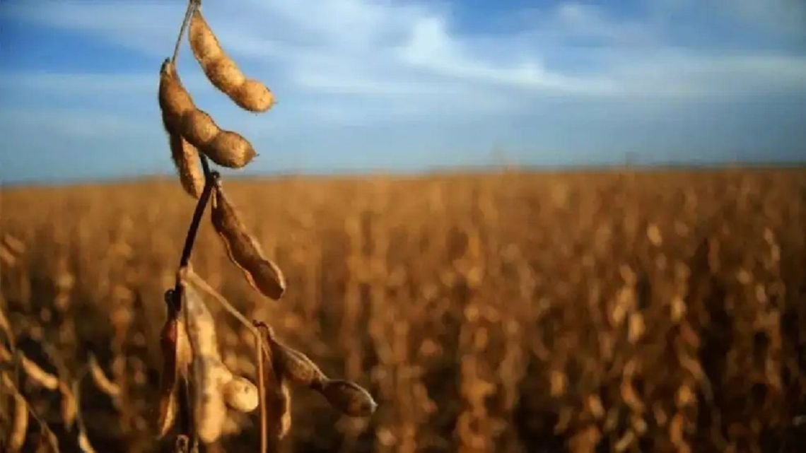 RDEco: el Índice FADA mostró que el 58% de la renta agrícola se va en impuestos
