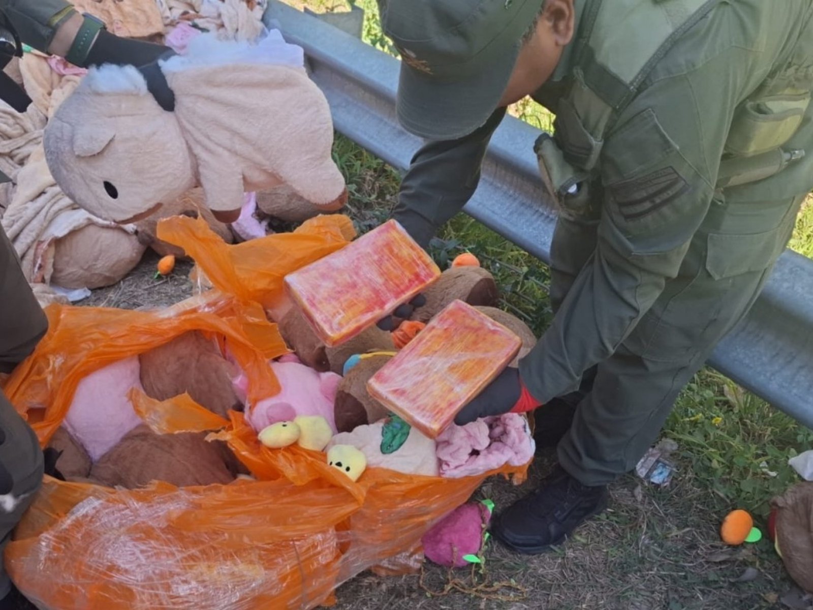 descubren un cargamento de marihuana y cocaína escondido dentro de carpinchos de felpa