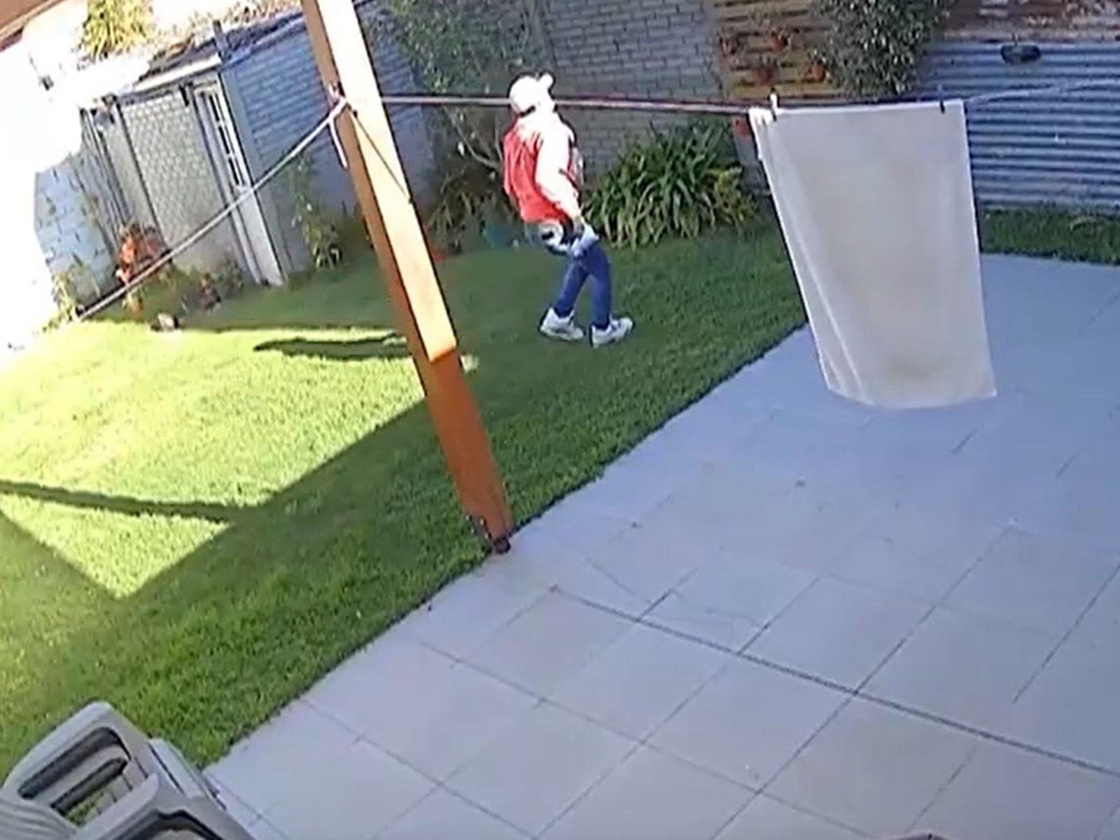 tres ladrones saltaron paredes y asaltaron en su casa a una jueza en La Plata