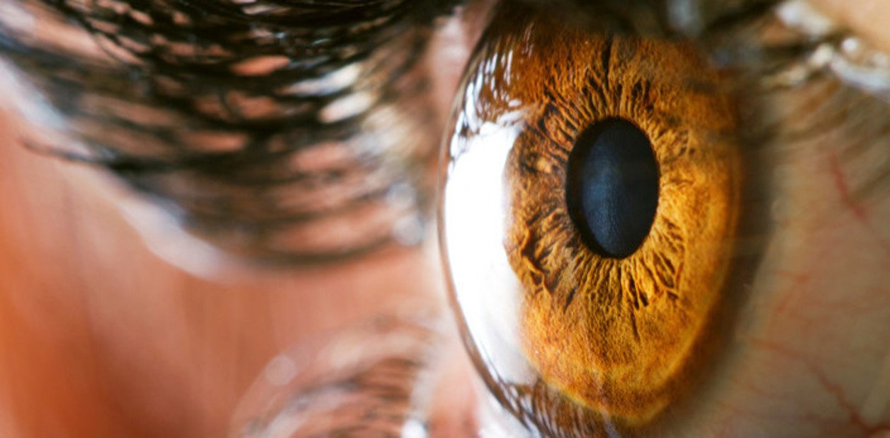 Hallan una proteína que puede servir contra el daño de quemaduras en los ojos con sustancias peligrosas