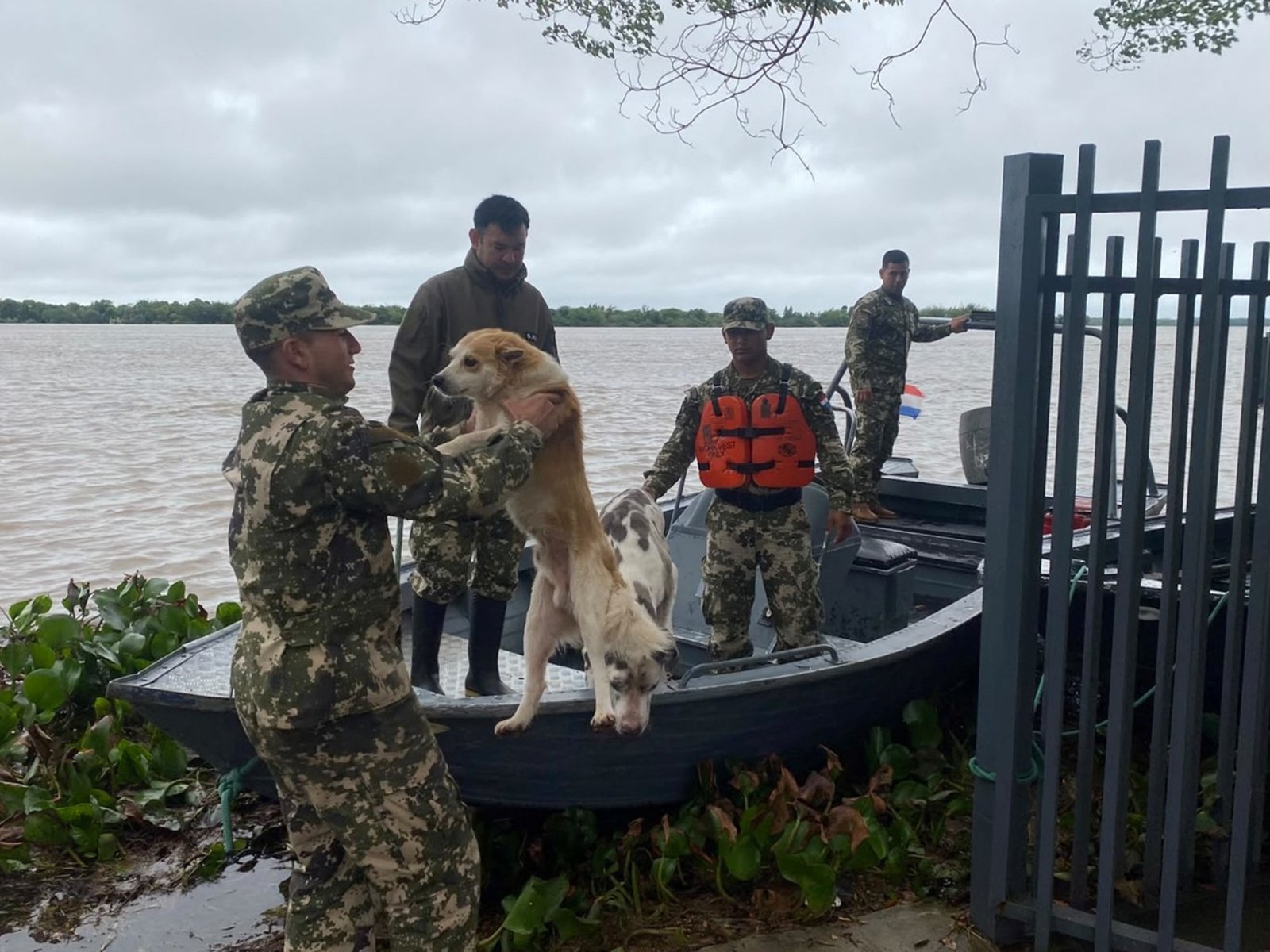 Súper Niño 2026 en Argentina, EN VIVO: cuándo será el pico de las fuertes lluvias y cómo cambiará el clima