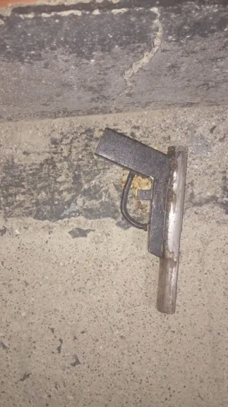 Apareció una tumbera en el techo de una casa del barrio Máximo Abasolo