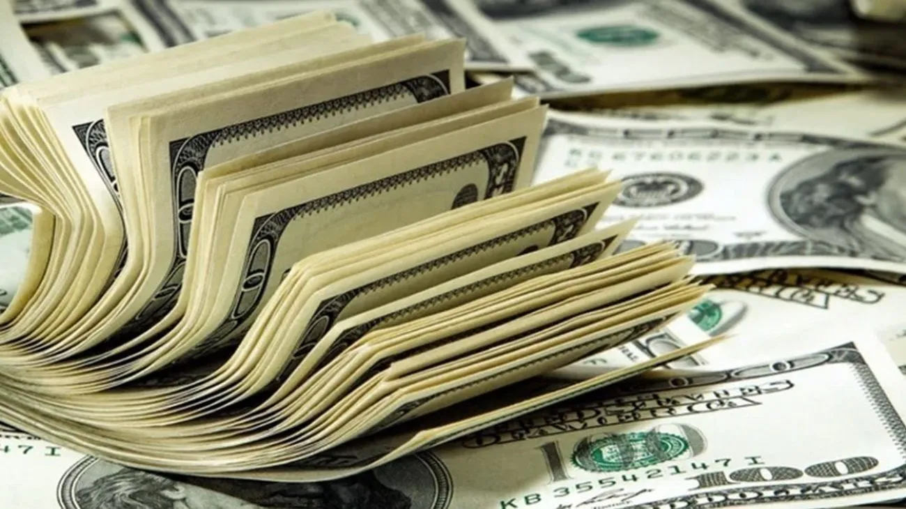 “Cada dólar destinado a una corrida cambiaria es un dólar menos para el programa financiero”