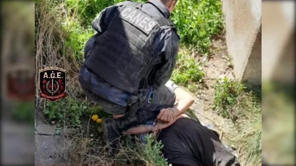 Huyó por los techos tras un robo y la División Canes de Trelew lo atrapó escondido en el patio de una casa