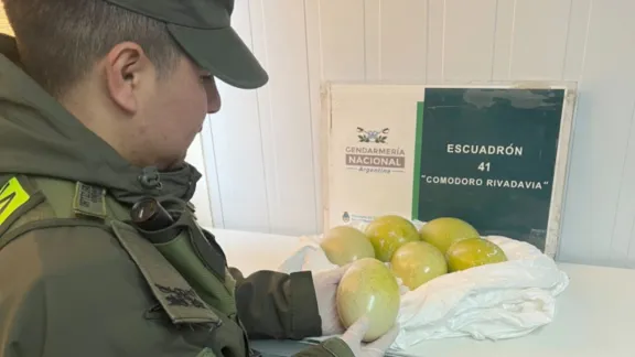 Insólito: lo descubrieron con huevos de choique escondidos en el auto